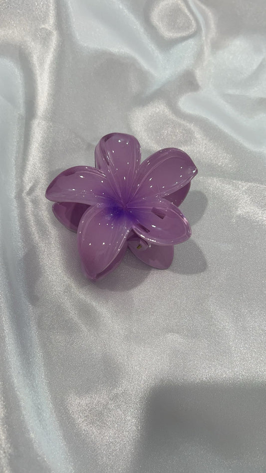 Frangi hair clip