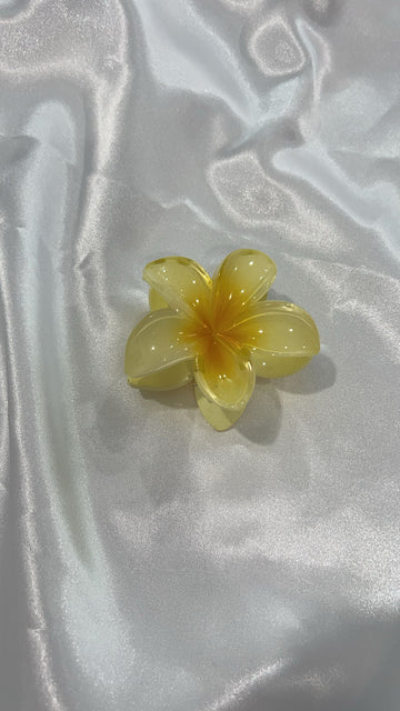 Frangi hair clip