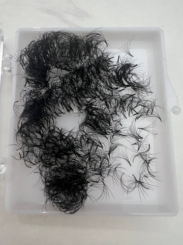 1000 Loose Fans D Curl