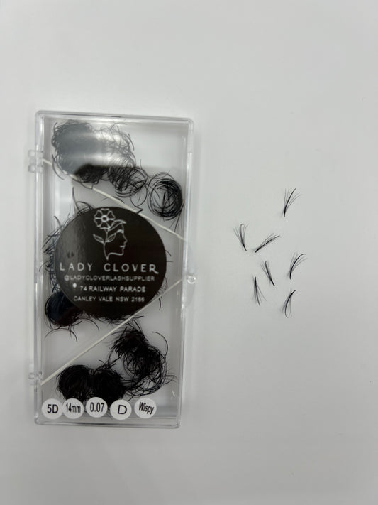 Wispy Loose Fans 5D